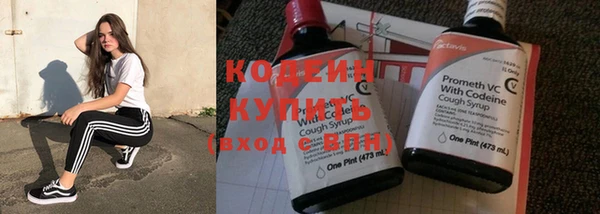 гидра Богданович