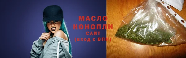 гидра Богданович