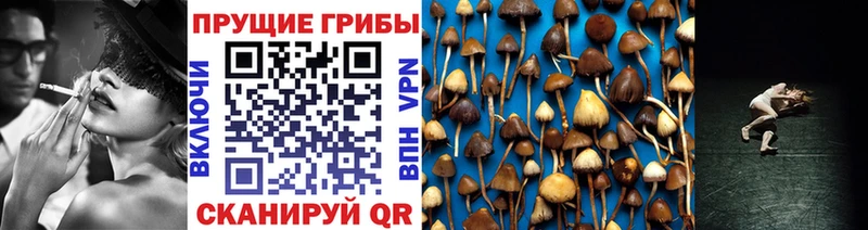 Галлюциногенные грибы прущие грибы Назрань
